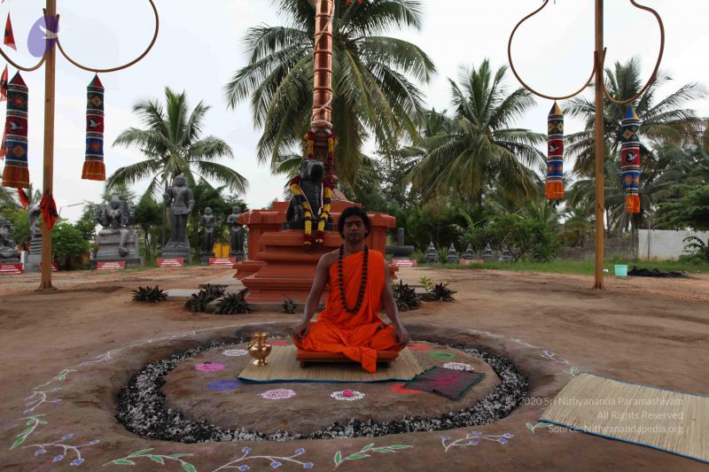 File:20101113 Photo 1015 1P4pwA2TqDrmYFoLzitzsSSyKN9-P-dDb.JPG