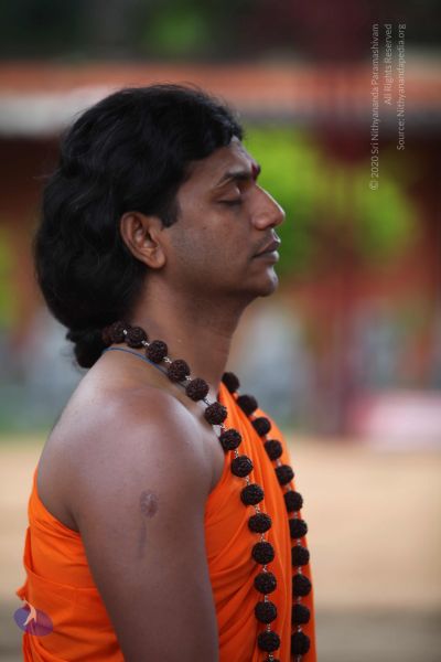 File:20101113 Photo 1084 1CA7toS dGR6FMFTbO-zstLeVRV5AwLVf.JPG