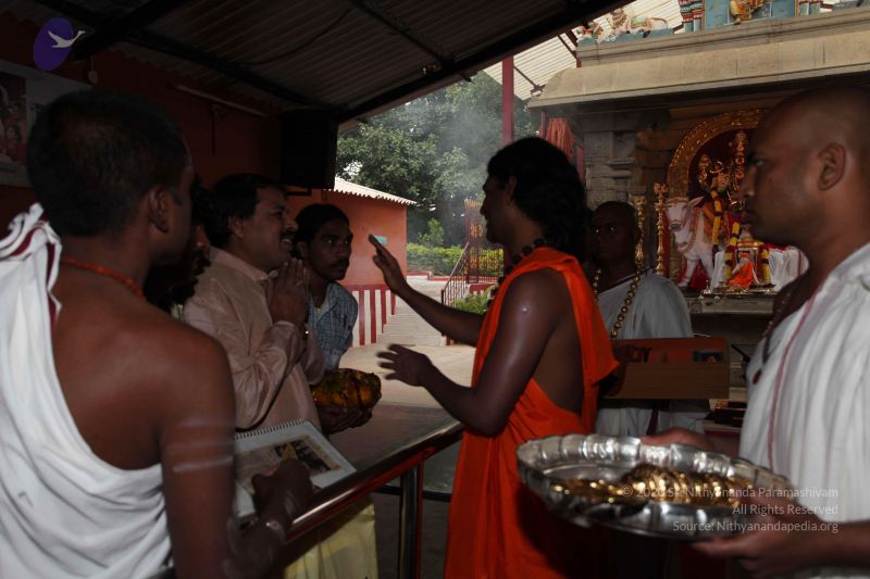 File:20101113 Photo 1143 1Edpata9BK0ZvBrIvfFmbCdGUtR8C-Ns6.JPG