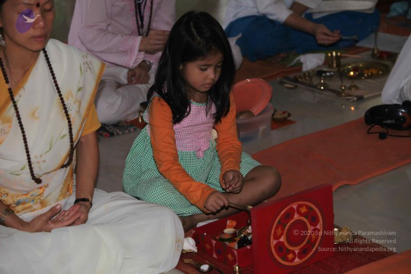 File:20101113 Photo 1231 1TGs-ECKDr2cifbtANoBFLV4G4w47S uz.JPG