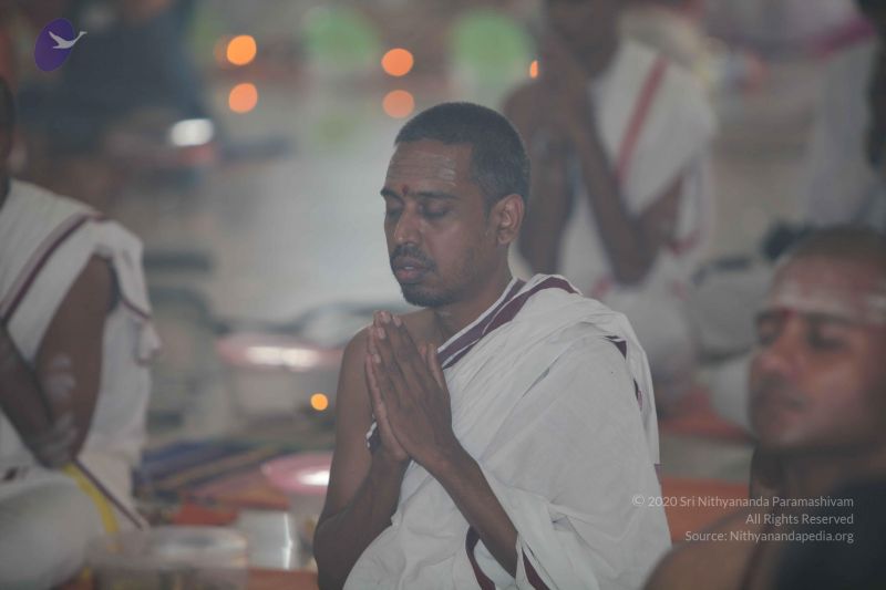 File:20101113 Photo 1338 1MK5uL7fFd2fwdevMND238-9F8kotQl7M.JPG