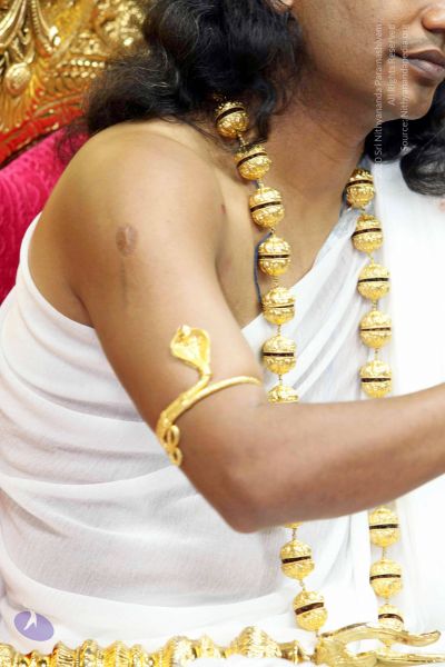 File:20101114 IMG 6351 CMP WM0001.jpg