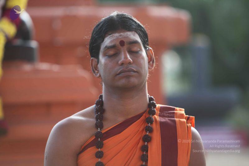 File:20101114 Photo 1004 1zxSXBUnDVXiwzYDgfzPePIlx6YnT o2y.JPG