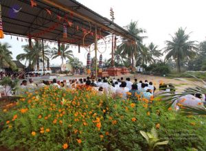 20101114 Photo 1005 1BQgY-mqod-eyuQ4AMDveFZ18hB74XOxR.JPG