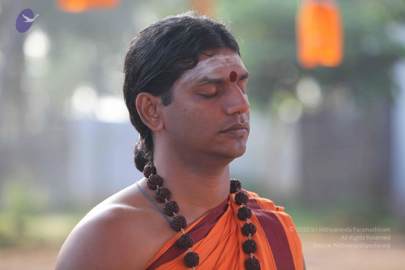 File:20101114 Photo 1010 1lwYIKkHlzEEYdcPHn1drnBHtDQfNUrK7.JPG