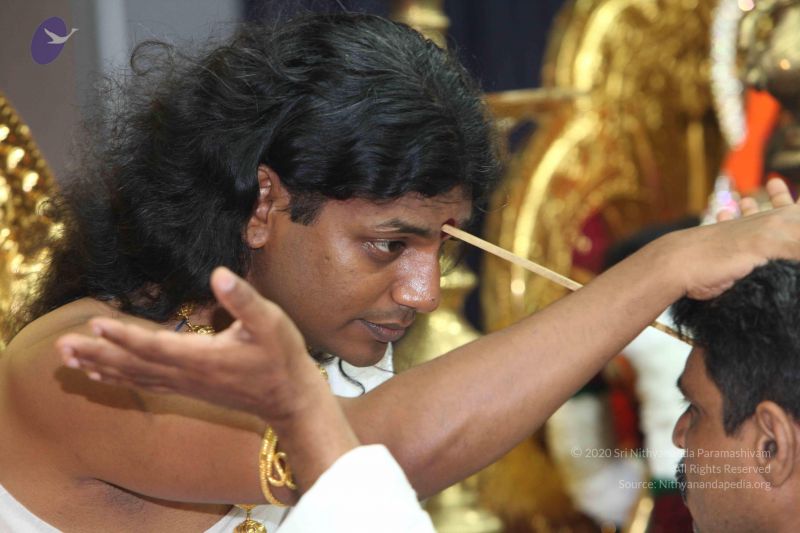 File:20101114 Photo 1020 1ZpVjZubH0cI2VMUY5-CEyExrULzKZIHu.JPG