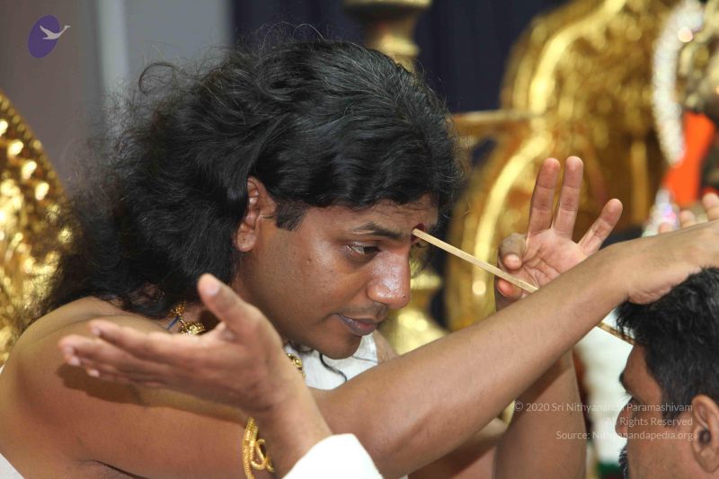 File:20101114 Photo 1021 1t1mYTuYA3RP0EAB7opqF63xE73 illGI.JPG