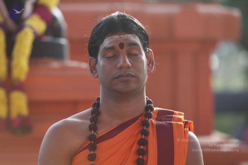 File:20101114 Photo 1028 12m7W24WTJfY2p49aZfhnjXBYYuvWoW9i.JPG