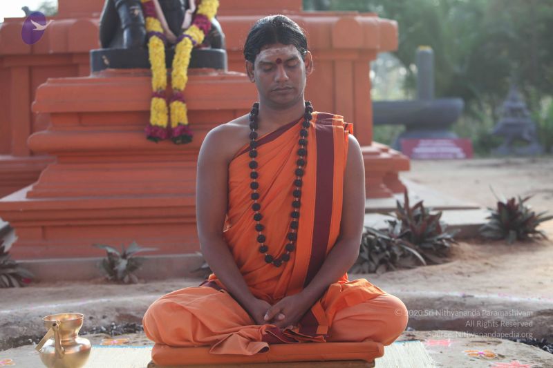 File:20101114 Photo 1030 1mAr59hFIOo8KYPyvOCJEsGIdaKPNB7BO.JPG