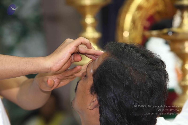 File:20101114 Photo 1038 18o8pEQhMmaZe7NTw9S9EpwK9m94K1xQL.JPG