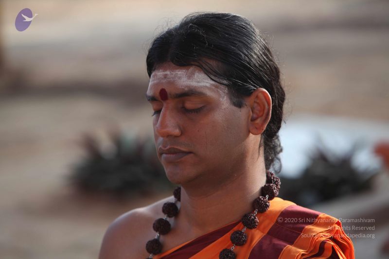 File:20101114 Photo 1040 1JQpsadM9UK80gHTcoFpWKMvJvTWl9UU6.JPG