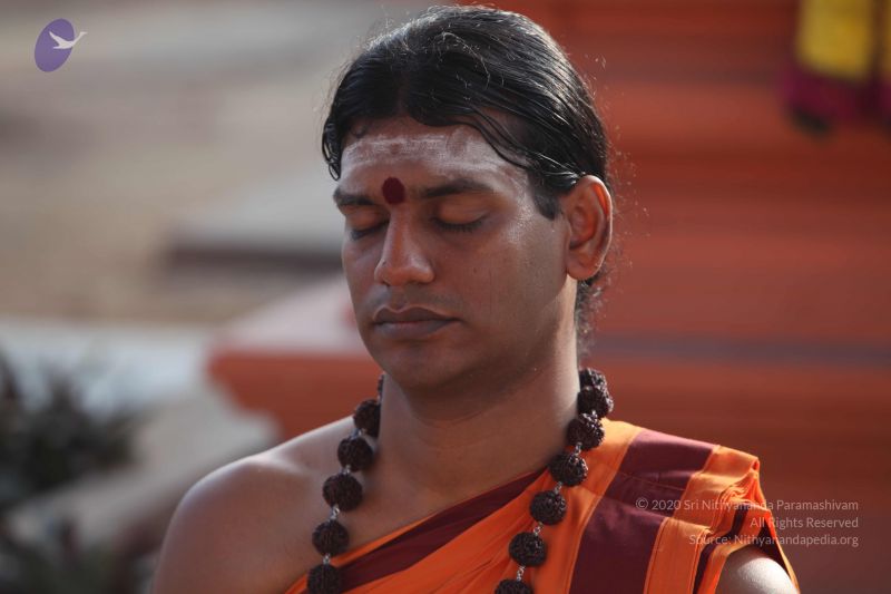 File:20101114 Photo 1044 1ri-Mhxx6n5m8gDAxf1Zz1pRO QCaatcY.JPG