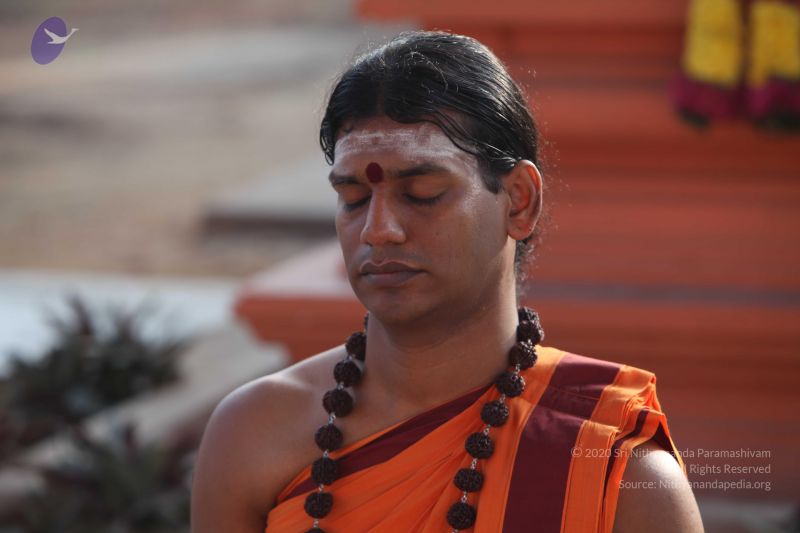 File:20101114 Photo 1045 1fBzl3UmsgGFViq0PxY8O1LlP EGJliPv.JPG