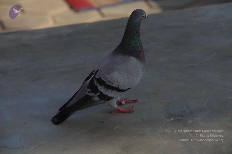 File:20101114 Photo 1055 1yACVBPqKFDy5R0hTGPvphZRMbmlIMMj-.JPG