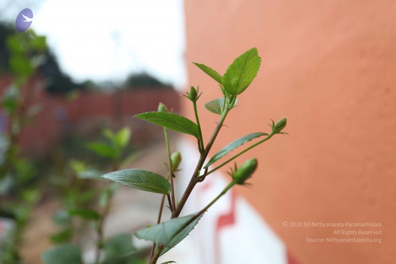 File:20101114 Photo 1081 11q81fwKErNFPrx3bR6gzagxAIHJeF4j7.JPG