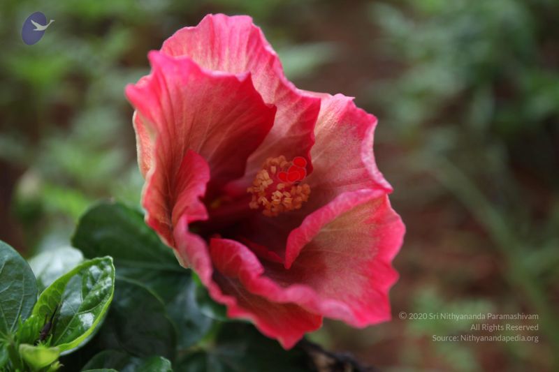 File:20101114 Photo 1084 1ChANq4KVMd9WmyxugwmbxpSO7v3IMGNX.JPG