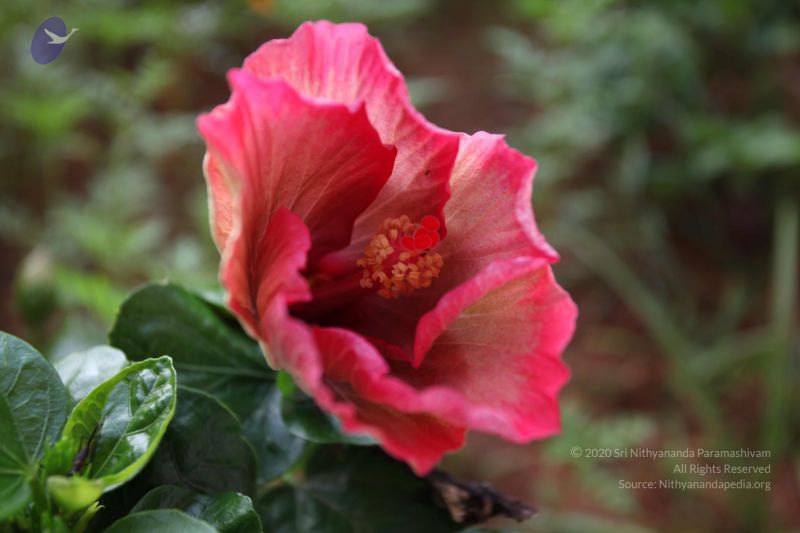 File:20101114 Photo 1085 1s Qw JYEPzevAmdOVWWPVI3fbpJIkg3Z.JPG