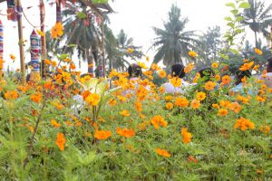 20101114 Photo 1086 1z1b 63Mk64WEB22wS5fYI4PlLPKP bRB.JPG