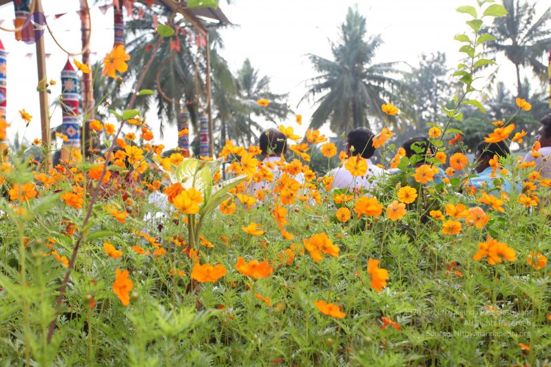 File:20101114 Photo 1086 1z1b 63Mk64WEB22wS5fYI4PlLPKP bRB.JPG