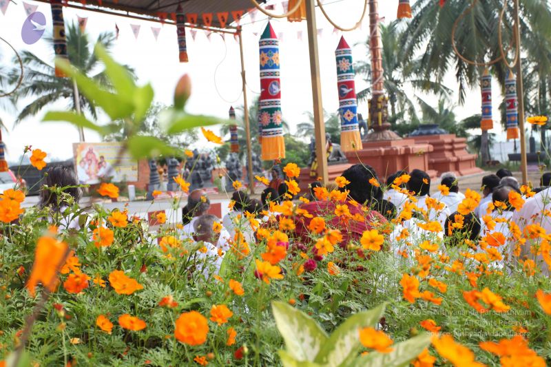 File:20101114 Photo 1090 1SCLUzdP50bdGEOvjpOR-bnS1UrmXtSAf.JPG