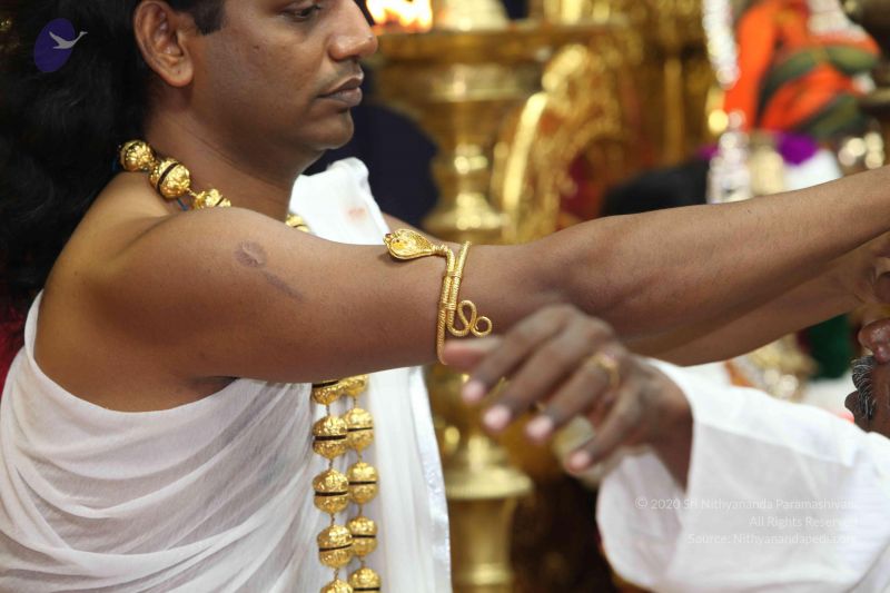 File:20101114 Photo 1104 1TpUwr7DDB ZiZgrDkfS31gW3AzVx8Xo9.JPG