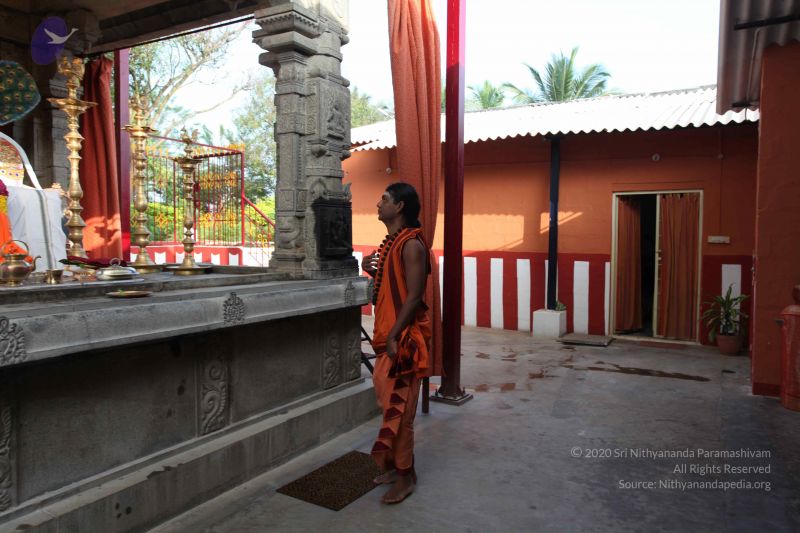 File:20101114 Photo 1122 1ohMh4Zmgt6L5QKfCFjaCMDB153vME7tL.JPG