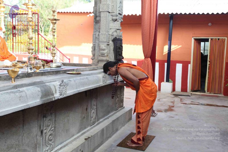 File:20101114 Photo 1124 110fjRNfWJvvKdronRf4XEuzpnRJHmGl8.JPG