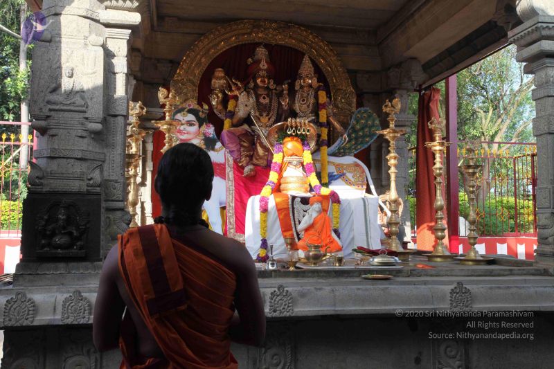 File:20101114 Photo 1127 1nAdd Qkz7-W7y0uzCLmW4fNh4n-nUNUh.JPG