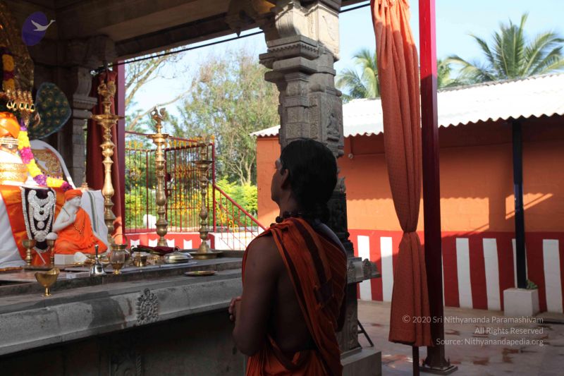 File:20101114 Photo 1129 15zB0841eou9KXm0Yz-FqL5Q3d3FFDJAl.JPG