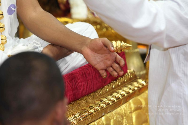 File:20101114 Photo 1132 1TspkieOASUW9E0tKSjDLGdHzMyNB15YK.JPG