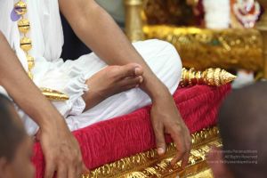 20101114 Photo 1133 11WOMgpXXPCmxMNPbOgT0ToZ4Eceh7lqD.JPG