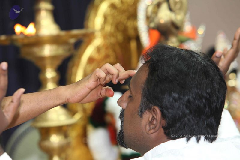 File:20101114 Photo 1139 1fKUl8rW0A4E1PzshzHaTNQ5IjkPZz-Iu.JPG