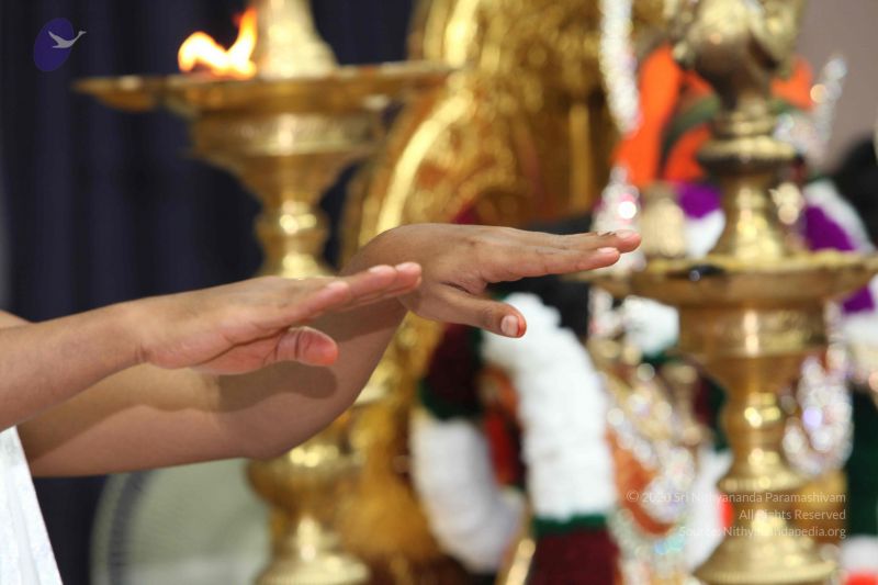 File:20101114 Photo 1163 1Vnlryu8eVZl9EM65WErJ4tj7QXIP7Bn9.JPG