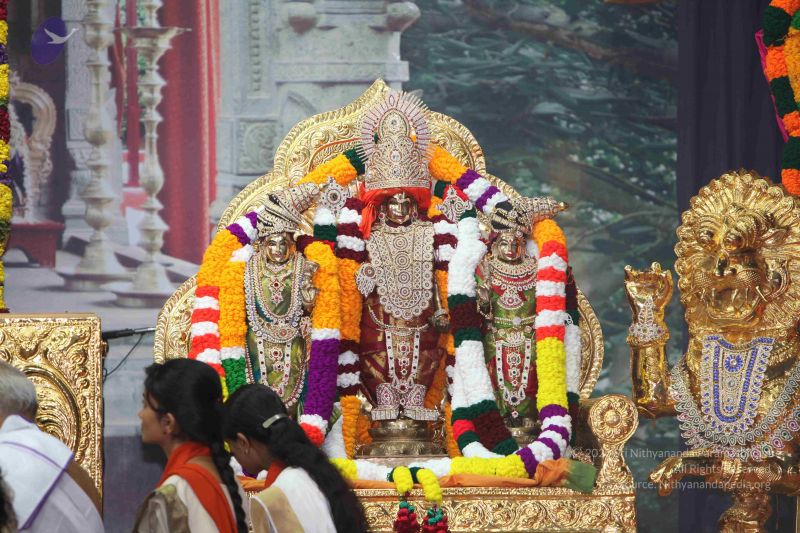 File:20101114 Photo 1182 1Q5jKAVbcspoeAK jnYuuYOawXfzyY8Ek.JPG