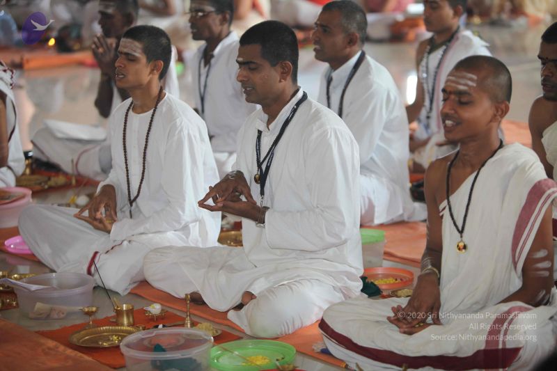 File:20101114 Photo 1189 13ZgpHecV9ej4WazJ0oVuP6iy6ycMGxq7.JPG