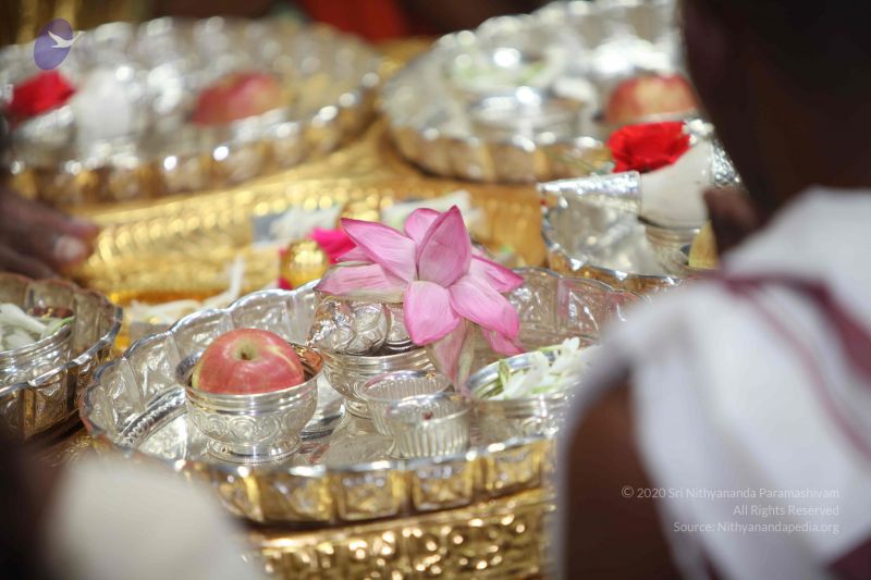 File:20101114 Photo 1200 1t6 d2PHh W0O5j3GBSFp aQC-Xq1WT1N.JPG