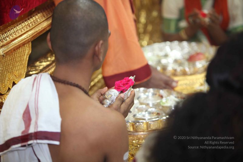 File:20101114 Photo 1205 1Mf2IbCUAdghFD-9Fk3 crj0sp-jChvcr.JPG