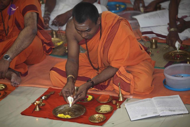 File:20101114 Photo 1209 1siuZLzPx5Vqdv2RB0cg79CM1AyYube4P.JPG