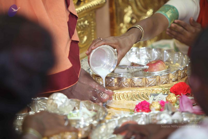 File:20101114 Photo 1215 1 t0mmG60stWknFsDAriHhh9JqLwYGN4u.JPG