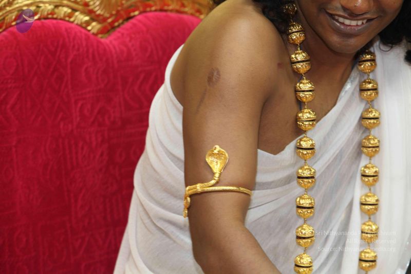 File:20101114 Photo 1250 1bGLM6IbcqHE1Vj GO3A4cTWNmMkp3kdg.JPG