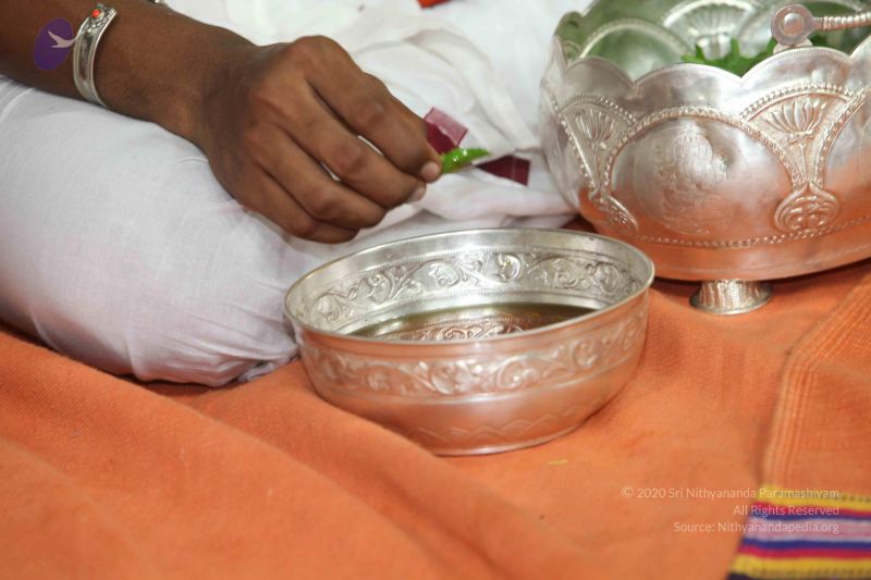 File:20101114 Photo 1257 16qC15CFp NcgE7q0mZTrjdroAskyB40H.JPG