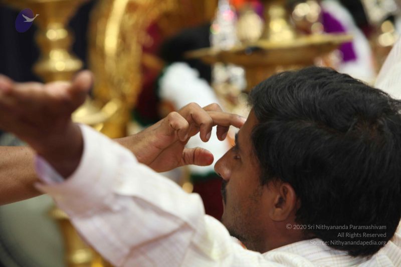 File:20101114 Photo 1288 1pV5w1CCvsXYuEAoRr3cE3kTQXKPyriTq.JPG