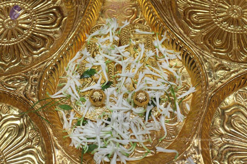 File:20101114 Photo 1292 1LsGkNaC4fUTM4at8SNe3hNtSHQIoOld1.JPG