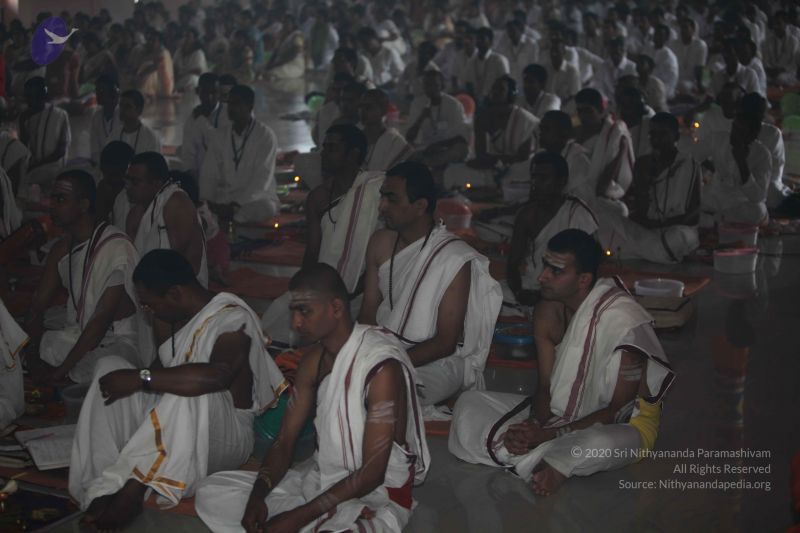 File:20101114 Photo 1319 1fNR-I61RRxNKU9xpt4x8RMdcKRLqUhQ .JPG