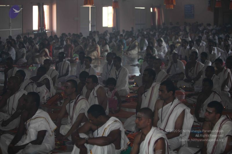 File:20101114 Photo 1320 14Illec3M2m ylVOMZgYAYqz 66qw2DsG.JPG