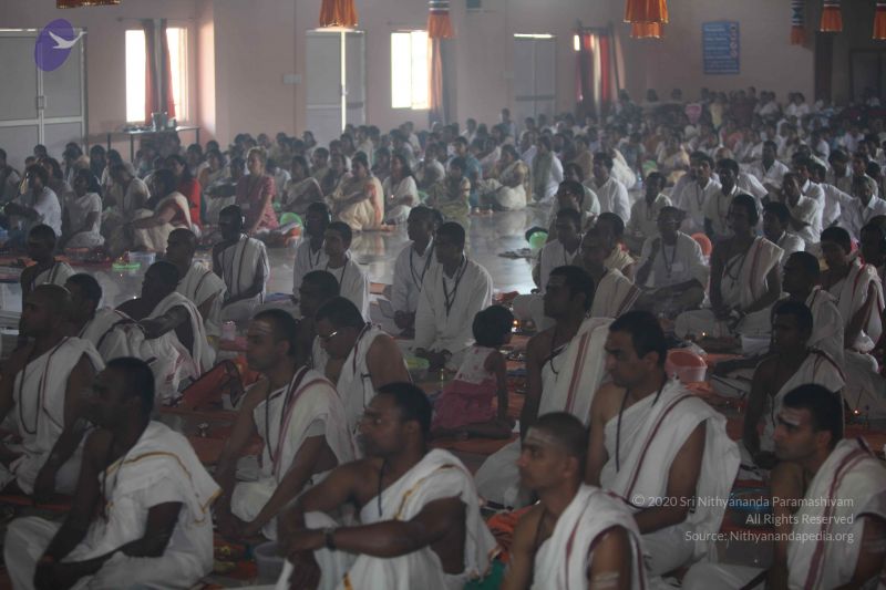 File:20101114 Photo 1322 1zKg1p0j8 RYkZiRvKv2P3fIQ1FsbDKEr.JPG