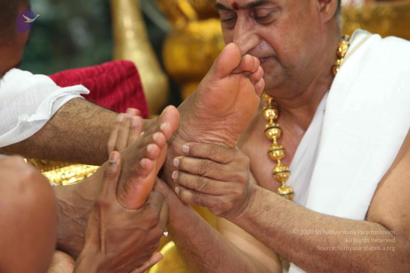 File:20101114 Photo 1325 1WO4-bsI7fiCfQ-R1ae8DmK ZyKZtHc7k.JPG