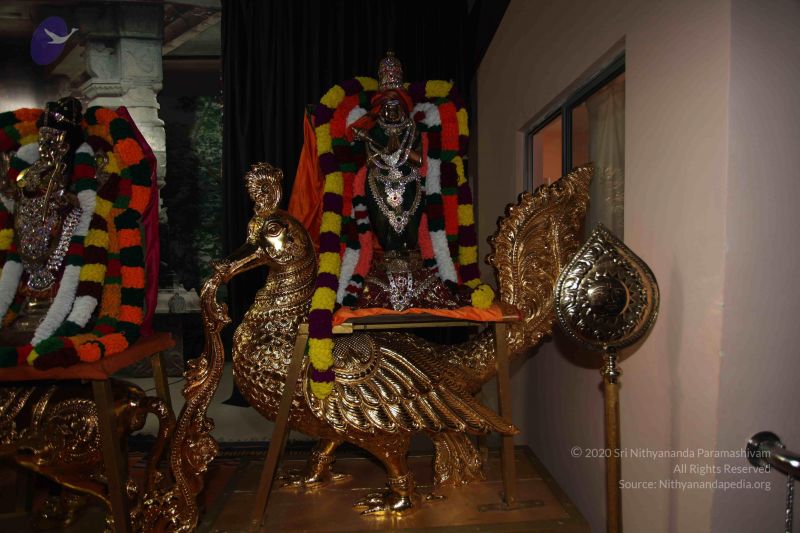 File:20101114 Photo 1330 1UFJyhpDjCzmfd5F0RHx6Rg0MVNLLNIhR.JPG