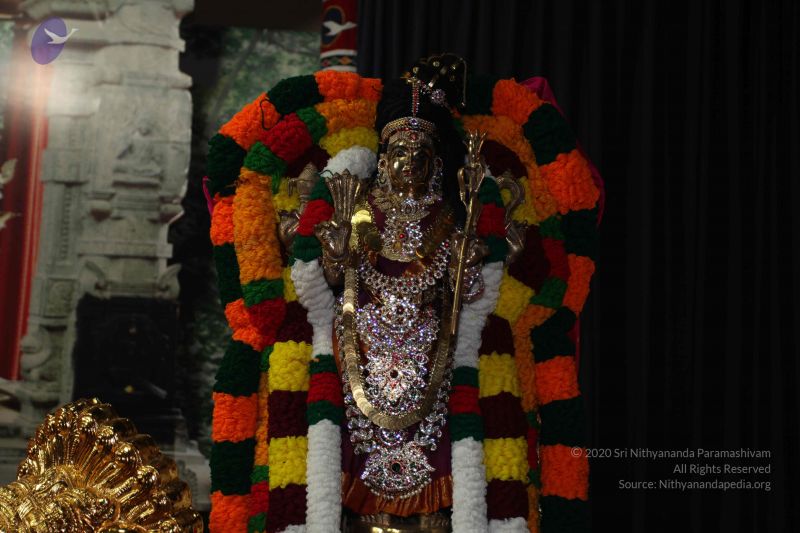 File:20101114 Photo 1335 1hWFnfzIphCnJ22P3ZfPpMKhTLRzbmXgu.JPG