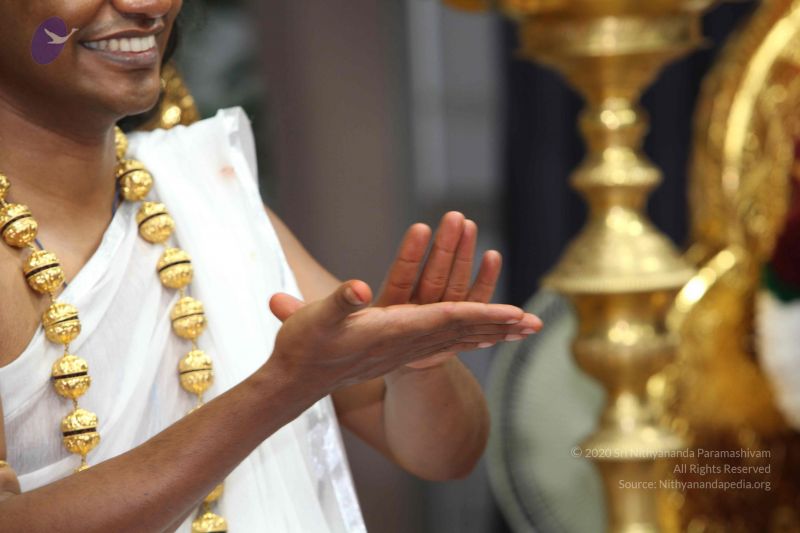 File:20101114 Photo 1345 1dSULu3ShFxOBpnyJF Wt1uieNNE6az q.JPG